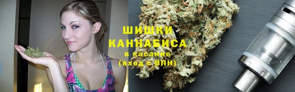 прущие крисы Гусев