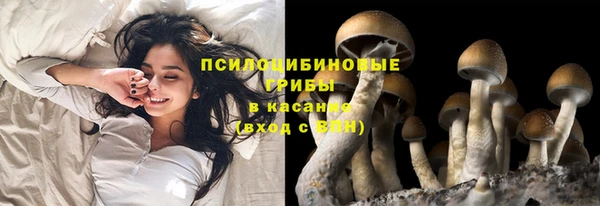 прущая мука Гусиноозёрск