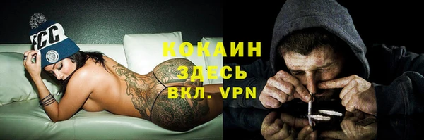 jwh Гусь-Хрустальный