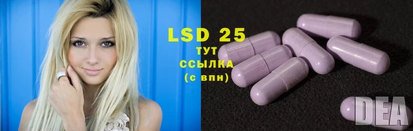 прущие крисы Гусев