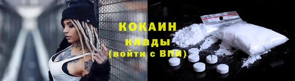 прущие крисы Гусев