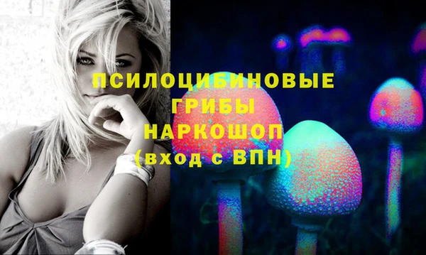 прущие крисы Гусев