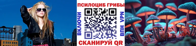 Галлюциногенные грибы Cubensis  дарнет шоп  Симферополь 